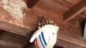 Casque pour chant(i)er