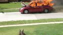 Un moment WTF 143