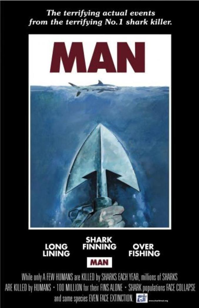 Un box office chez les requins.
