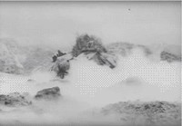 Gros de la forêt fuyant des créanciers lui réclamant d'acquitter le Certificat de site...