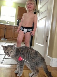 Une sucette et un chat