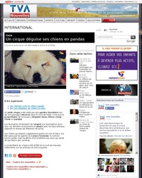 le panda, c'est chaud chaud....