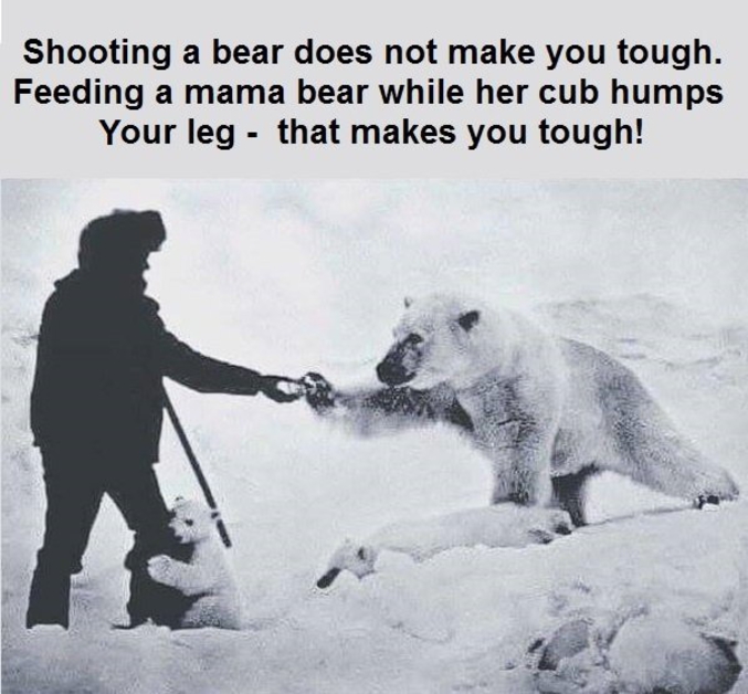Photographier un ours, ce n'est pas difficile. Nourrir une maman ours pendant que son rejeton s'accroche à votre jambe, c'est plus difficile.
