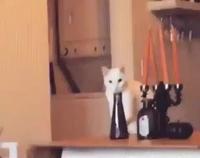 Oh excuse moi on a ta coupé qu’est ce tu faisait?