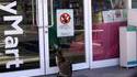 Interdit aux chats