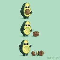 De la reproduction des avocats
