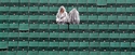 Roland Garros pratiquement une année sur deux