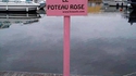 Le poteau rose