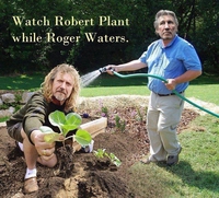 Plant needs Water