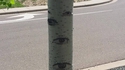 Arbre omniscient