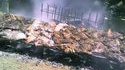 Un grand BBQ