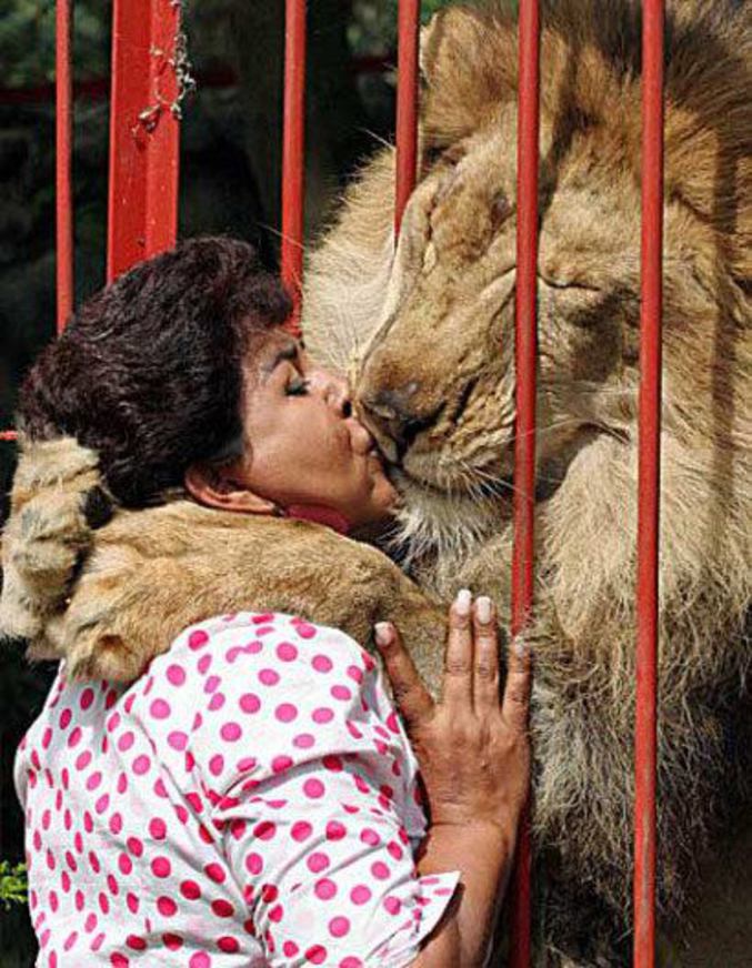 Une histoire d'amour entre un lion et son dompteur.