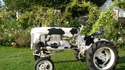 Tracteur-vache