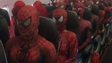 Des araignées dans l'avion