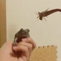 "À moi !"