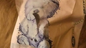 À la recherche des phallus perdus 253