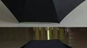 Parapluie Ghibli