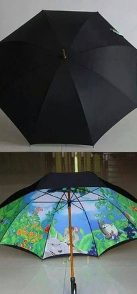 Parapluie Ghibli