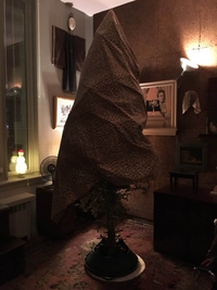 Allez zou ! On ferme jusqu'à l"année prochaine !