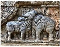 Taureau ou éléphant ?