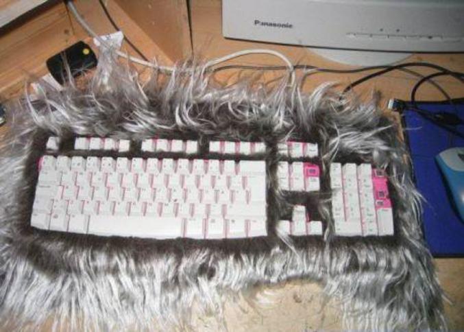Un clavier pour les fans de moumoute.