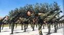 Apprendre à lâcher les gaz dans une armée asiatique