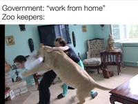 Dédicace à Guaruda