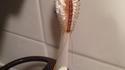 Surprise sur la brosse à dent