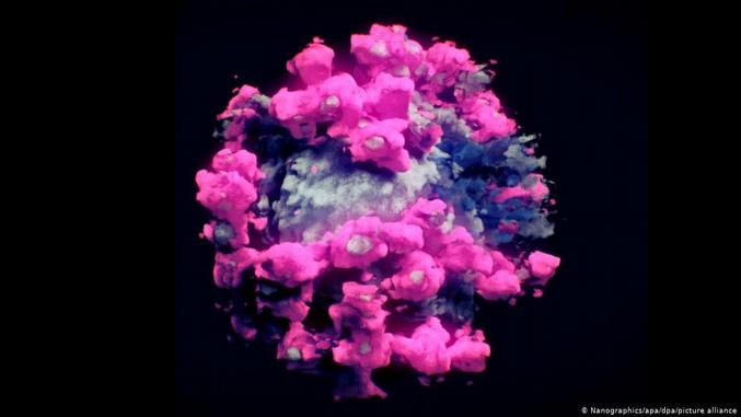 ... le COVID est dans la boîte ! Première photo du virus. 

Vielen Danke Österreich !

https://www.dw.com/en/researchers-succeed-in-taking-first-3d-photo-of-coronavirus/a-56290365