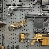 Evidemment, dans cette panoplie, il y a une arme bien plus fatale que les autres