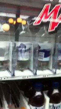 trois pour le prix d'une !