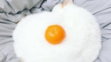 chat blanc + mandarine = oeuf au plat