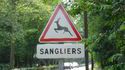Attention aux sangliers!
