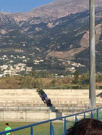 Se faire une place à l'ombre