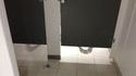 L'activité N°1 des toilettes