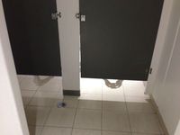 L'activité N°1 des toilettes