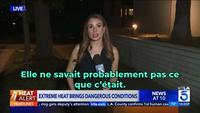 Ça vole ces bestioles ?