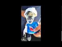 Bionic Fish