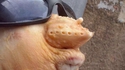 bouche en cul de poule 