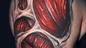 Tatouage muscle 2