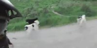 Balade tranquille à vélo jusqu'à...