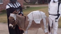 Cosplay, tout le monde participe