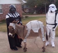 Cosplay, tout le monde participe