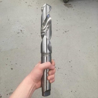 Après le Gros de la forêt...