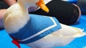 Donald Duck