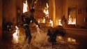 Best of Tony Jaa