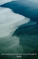 57.93488279570112, -144.32938179818612