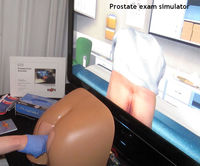 Simulateur
