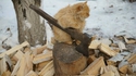 Tel est Hache-Chat