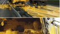 Il a ri jaune !